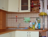 DSC04156